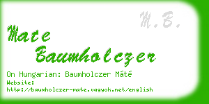 mate baumholczer business card